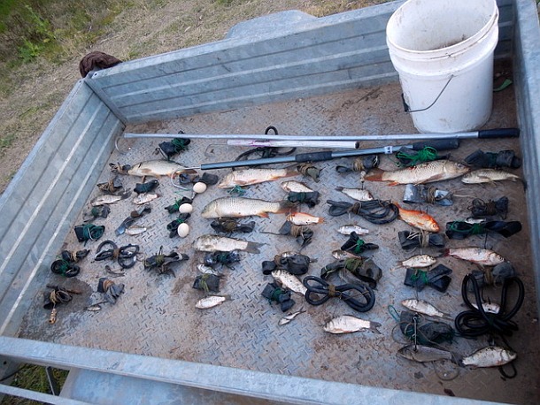 Illegal fishers caught on the Macquarie